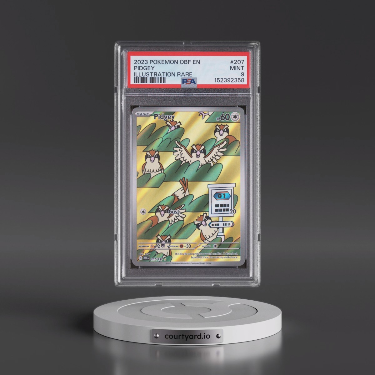2023 Pokémon Obf EN-Obsidian Flames #207 Pidgey - Illustration Rare (PSA 9 MINT)