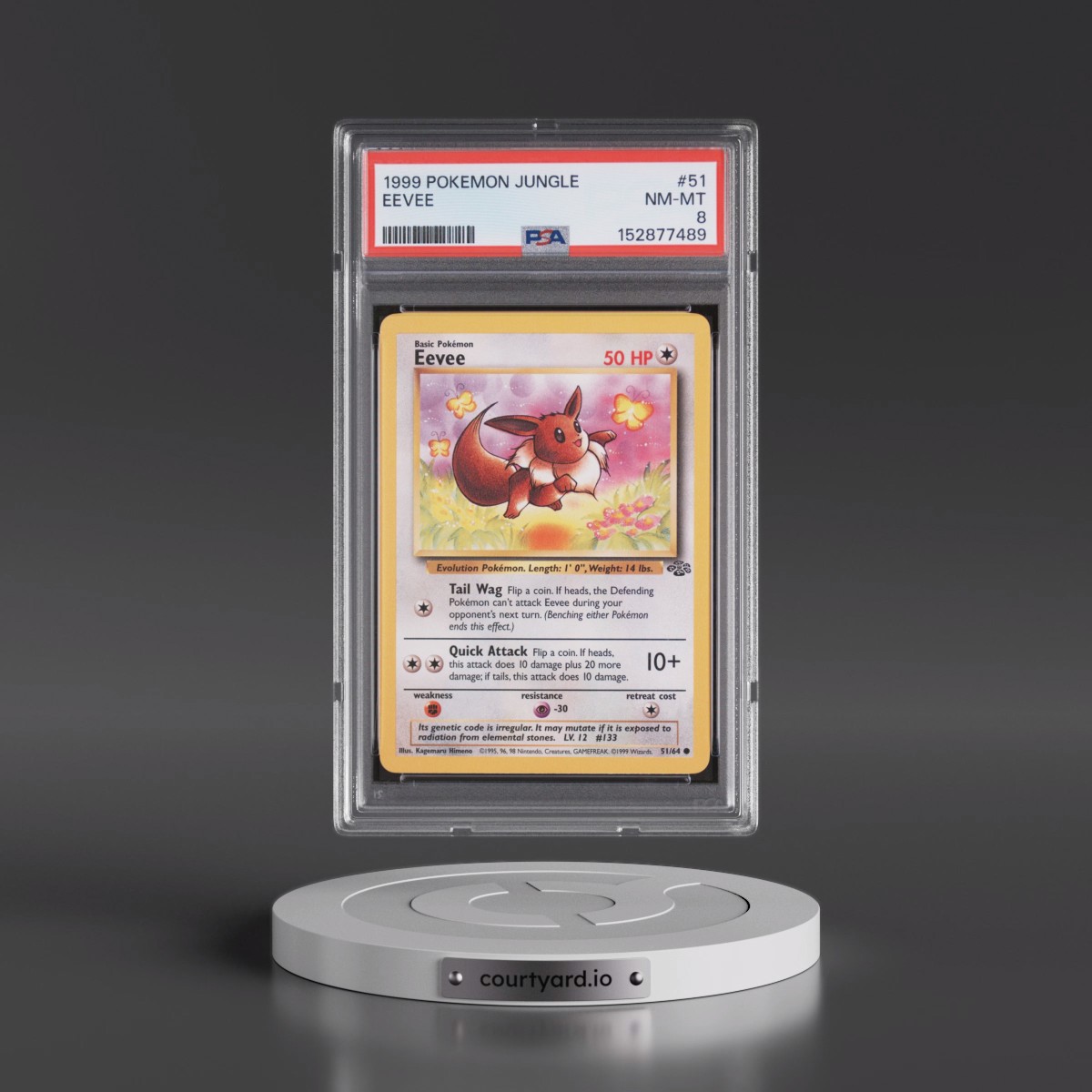 1999 Pokémon Jungle #51 Eevee (PSA 8 NM-MT)
