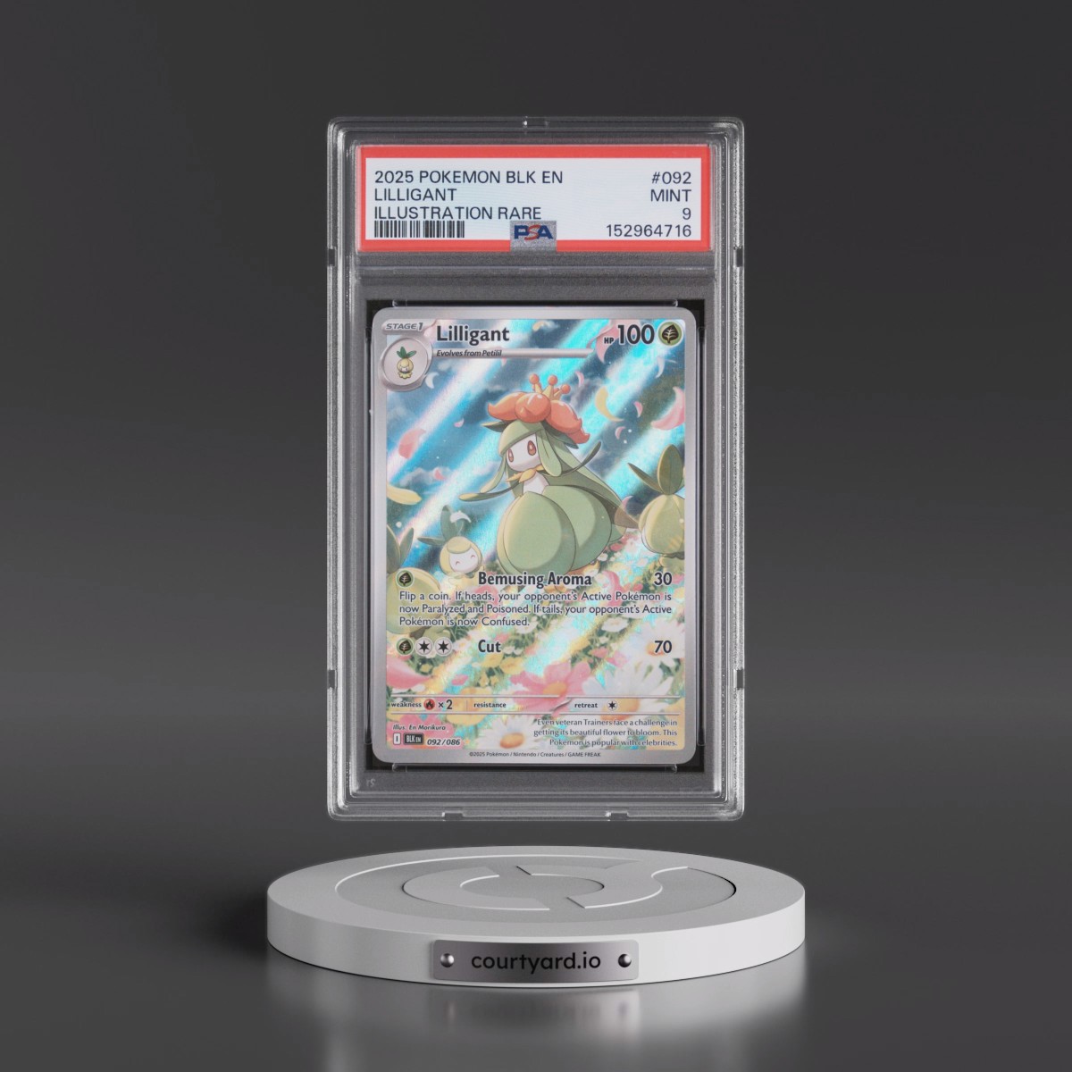 2025 Pokémon Blk EN-Black Bolt #092 Lilligant - Illustration Rare (PSA 9 MINT)