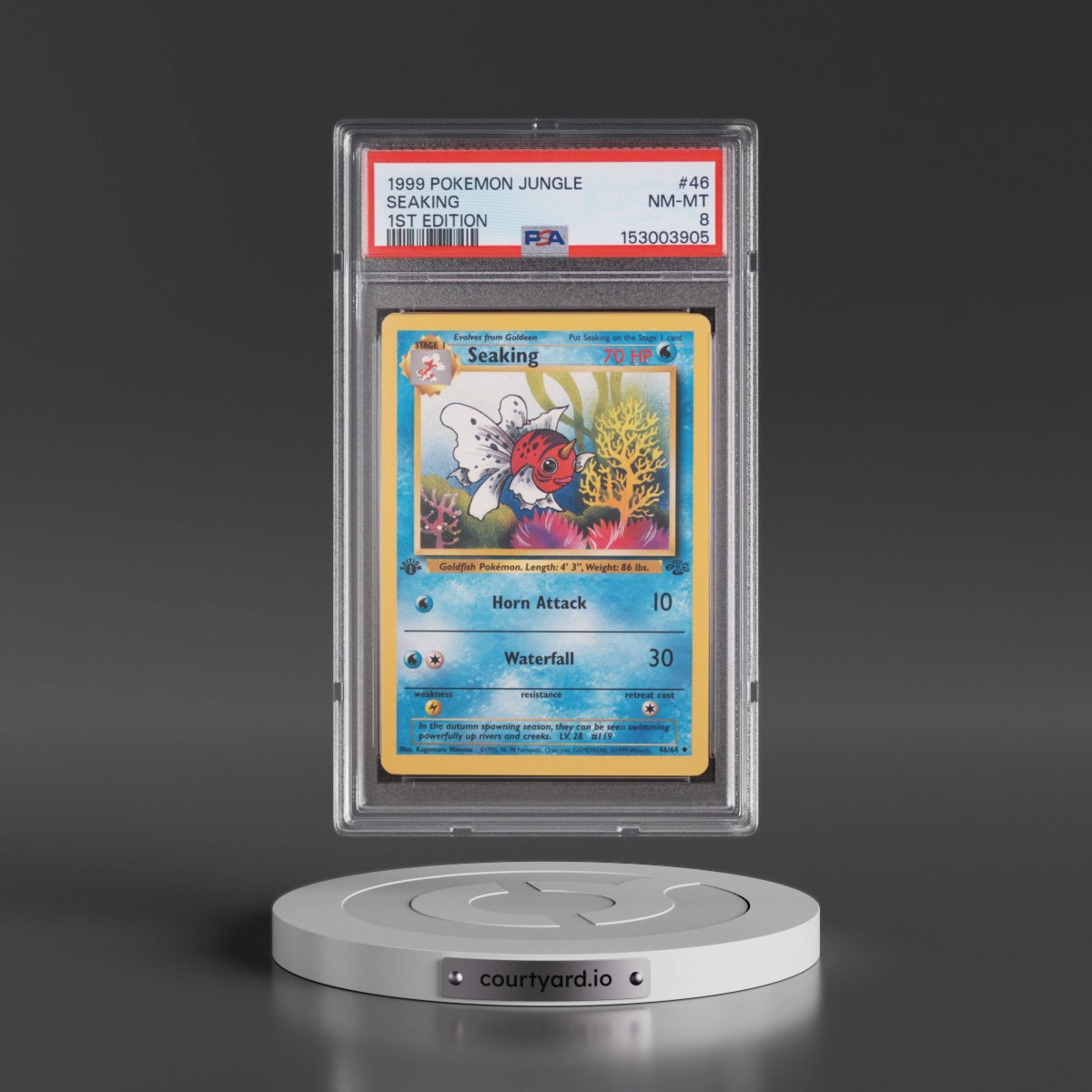 1999 Pokémon Jungle #46 Seaking - 1st Edition (PSA 8 NM-MT)
