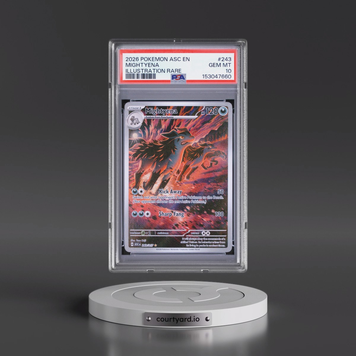 2026 Pokémon Asc EN-Ascended Heroes #243 Mightyena - Illustration Rare (PSA 10 GEM MINT)
