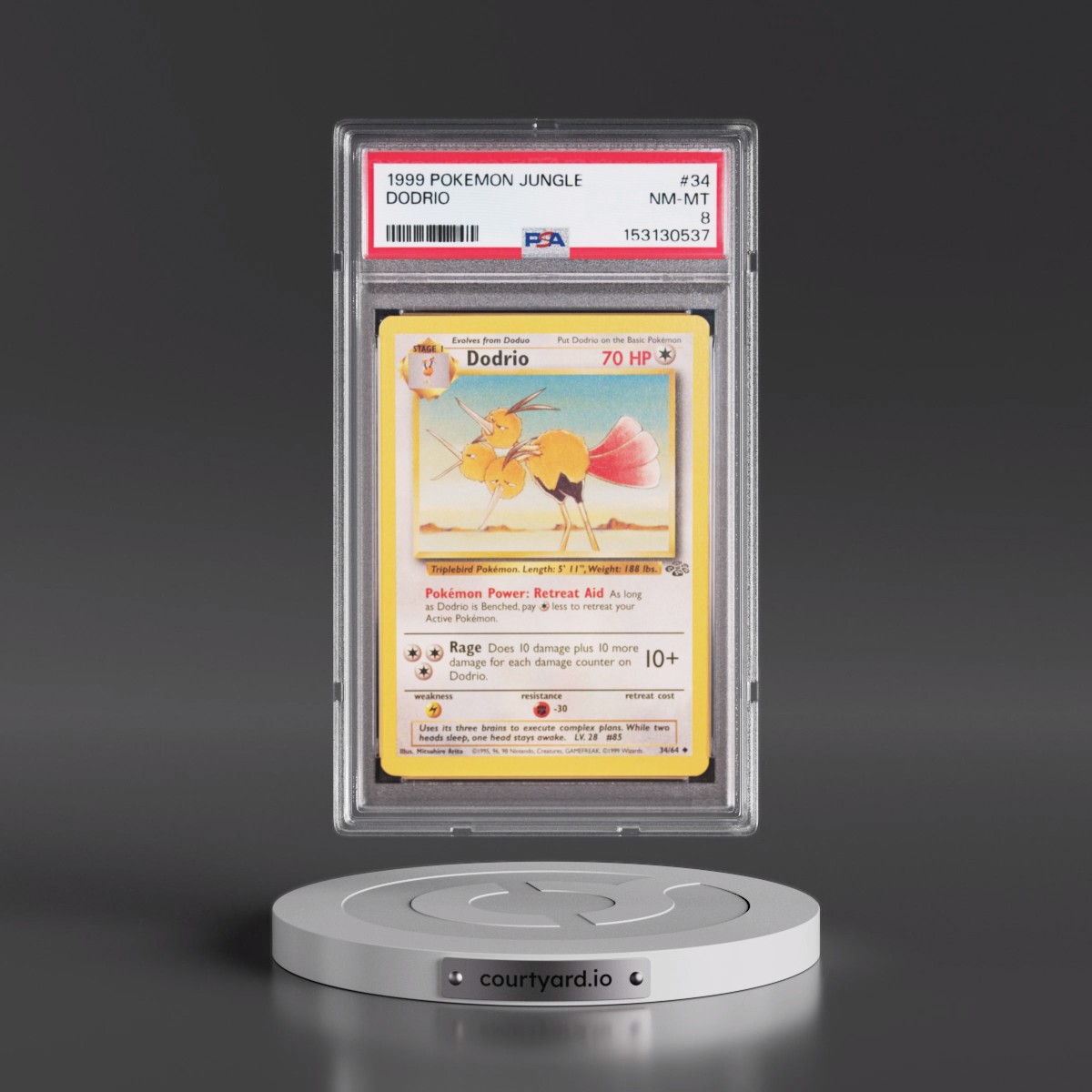 1999 Pokémon Jungle #34 Dodrio (PSA 8 NM-MT)
