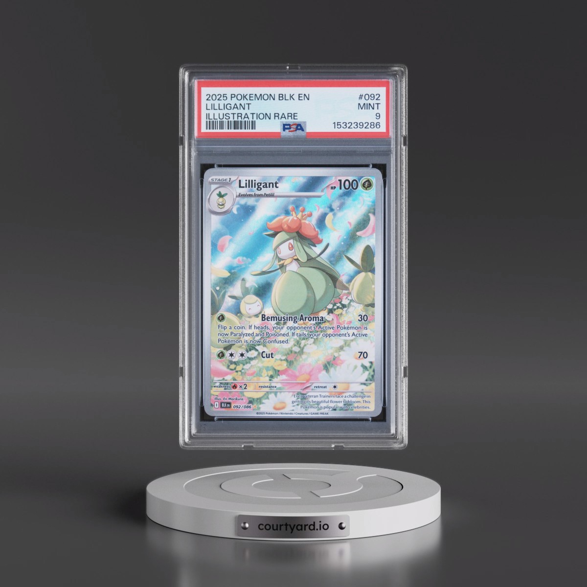 2025 Pokémon Blk EN-Black Bolt #092 Lilligant - Illustration Rare (PSA 9 MINT)