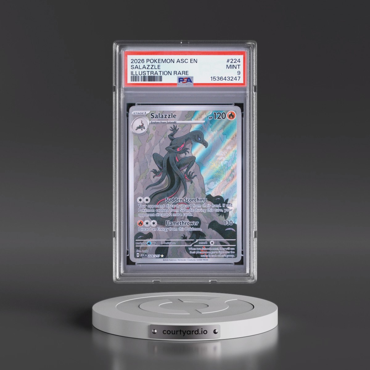 2026 Pokémon Asc EN-Ascended Heroes #224 Salazzle - Illustration Rare (PSA 9 MINT)