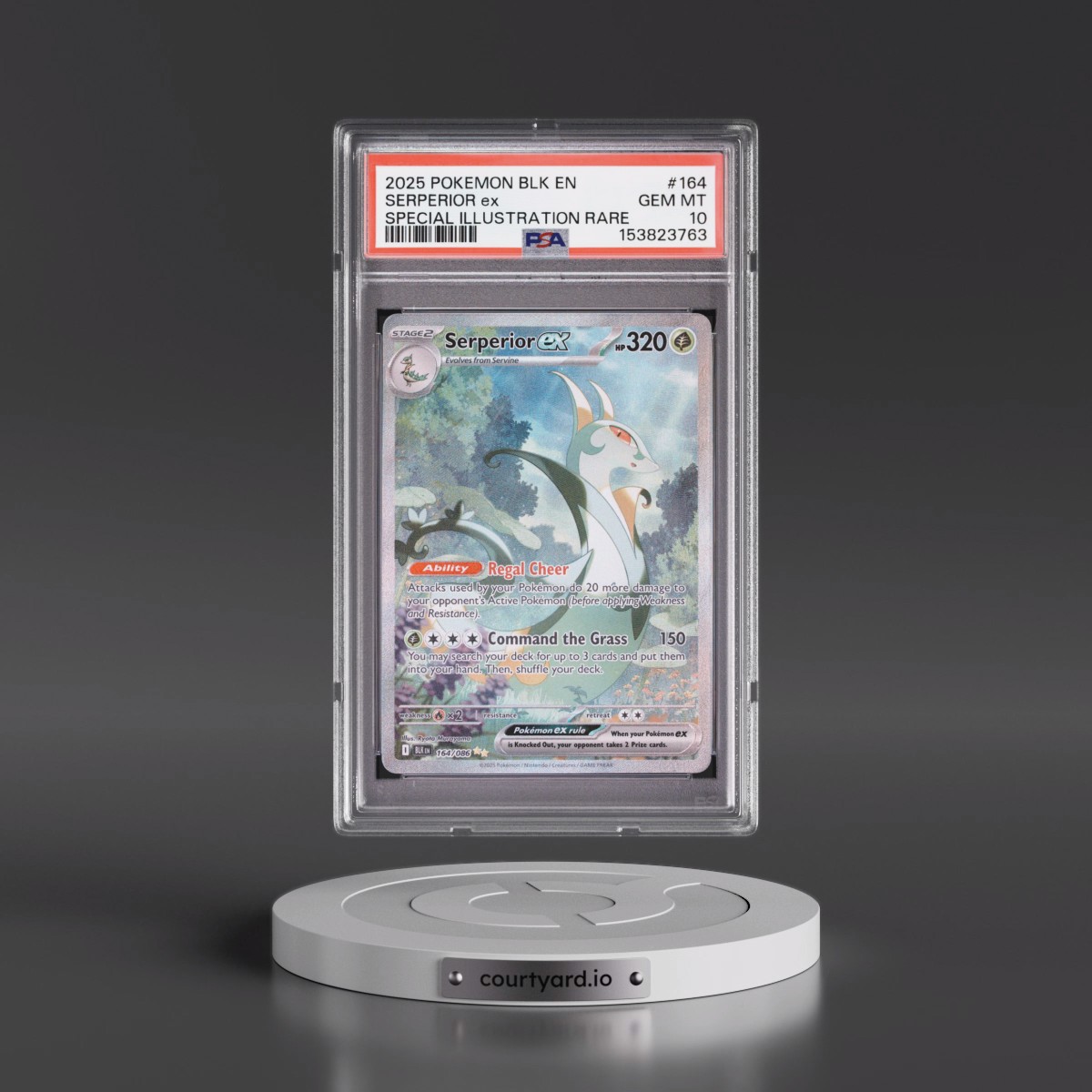 2025 Pokémon Blk EN-Black Bolt #164 Serperior EX - Holo Special Illustration Rare (PSA 10 GEM MINT)