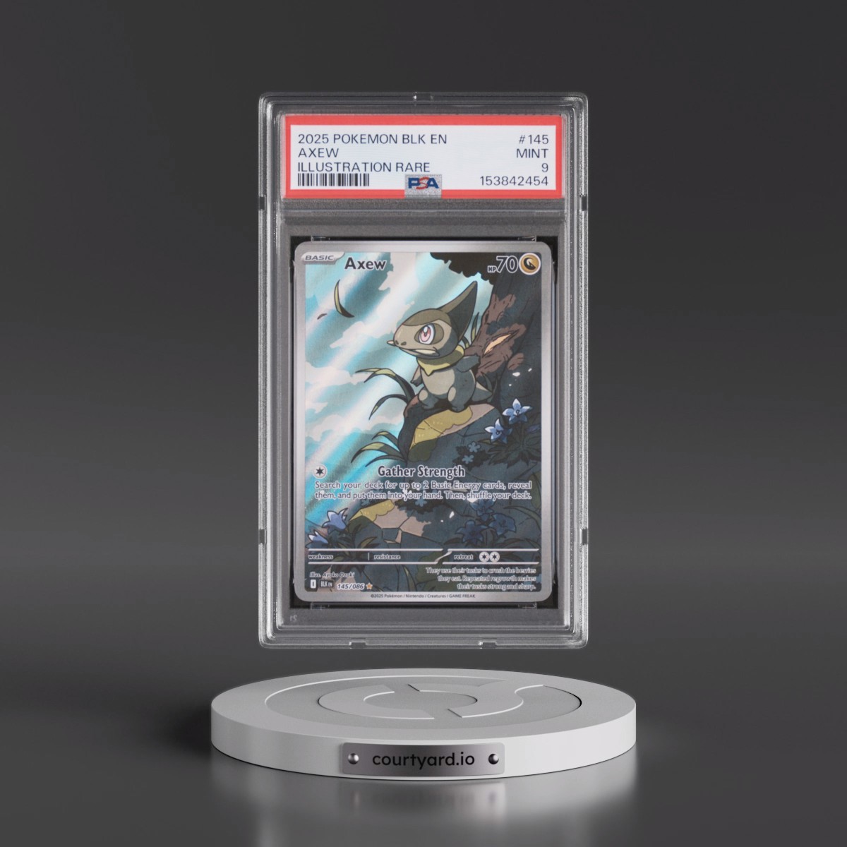 2025 Pokémon Blk EN-Black Bolt #145 Axew - Illustration Rare (PSA 9 MINT)