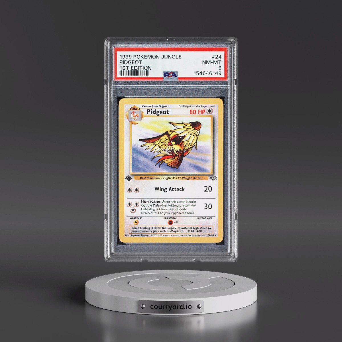 1999 Pokémon Jungle #24 Pidgeot - 1st Edition (PSA 8 NM-MT)