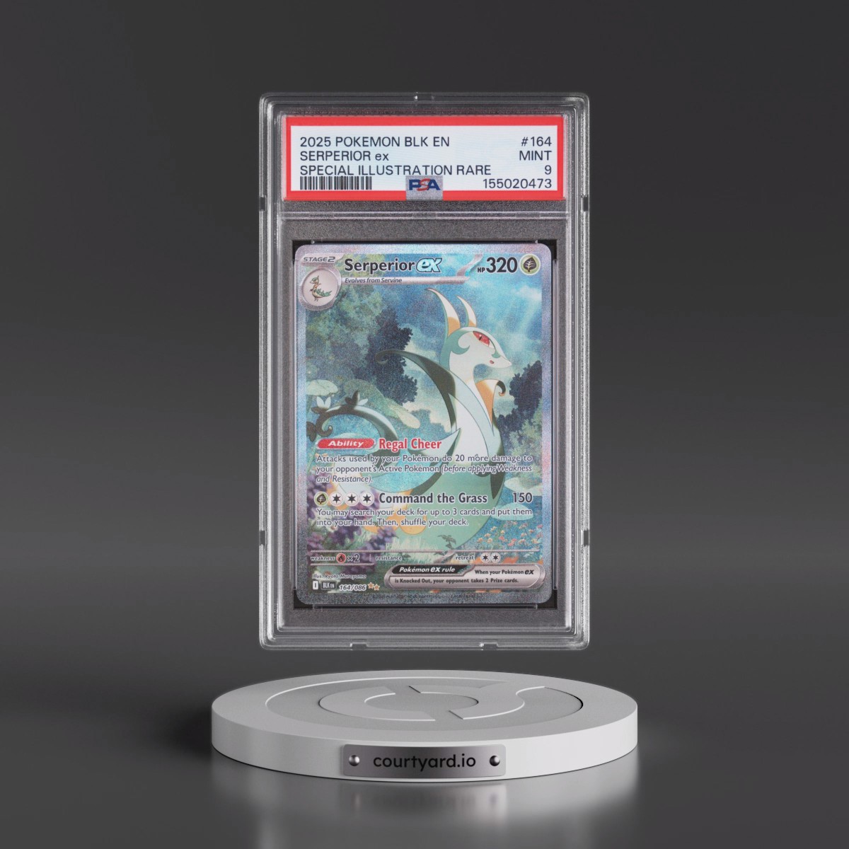 2025 Pokémon Blk EN-Black Bolt #164 Serperior EX - Holo Special Illustration Rare (PSA 9 MINT)