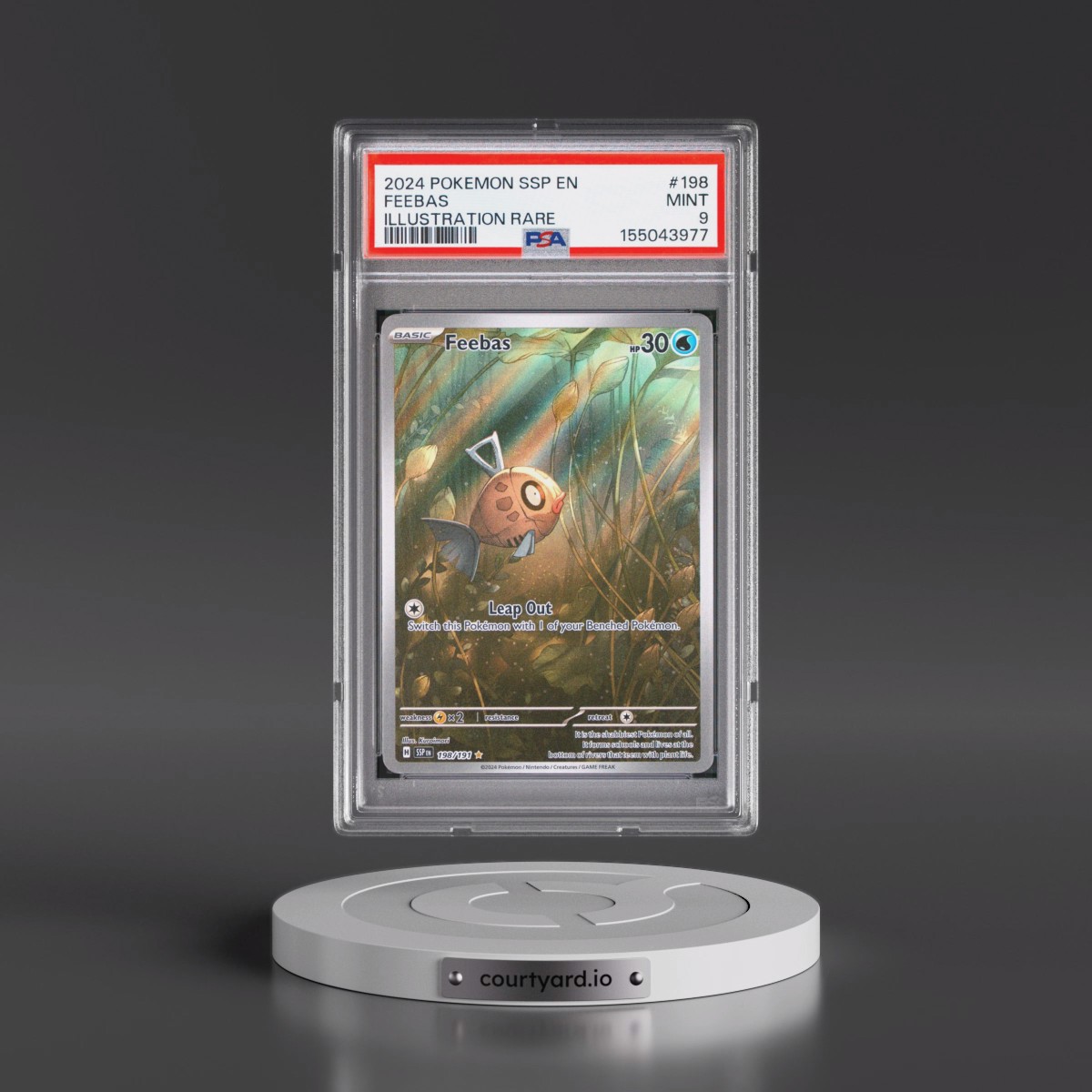 2024 Pokémon Ssp EN-Surging Sparks #198 Feebas - Illustration Rare (PSA 9 MINT)