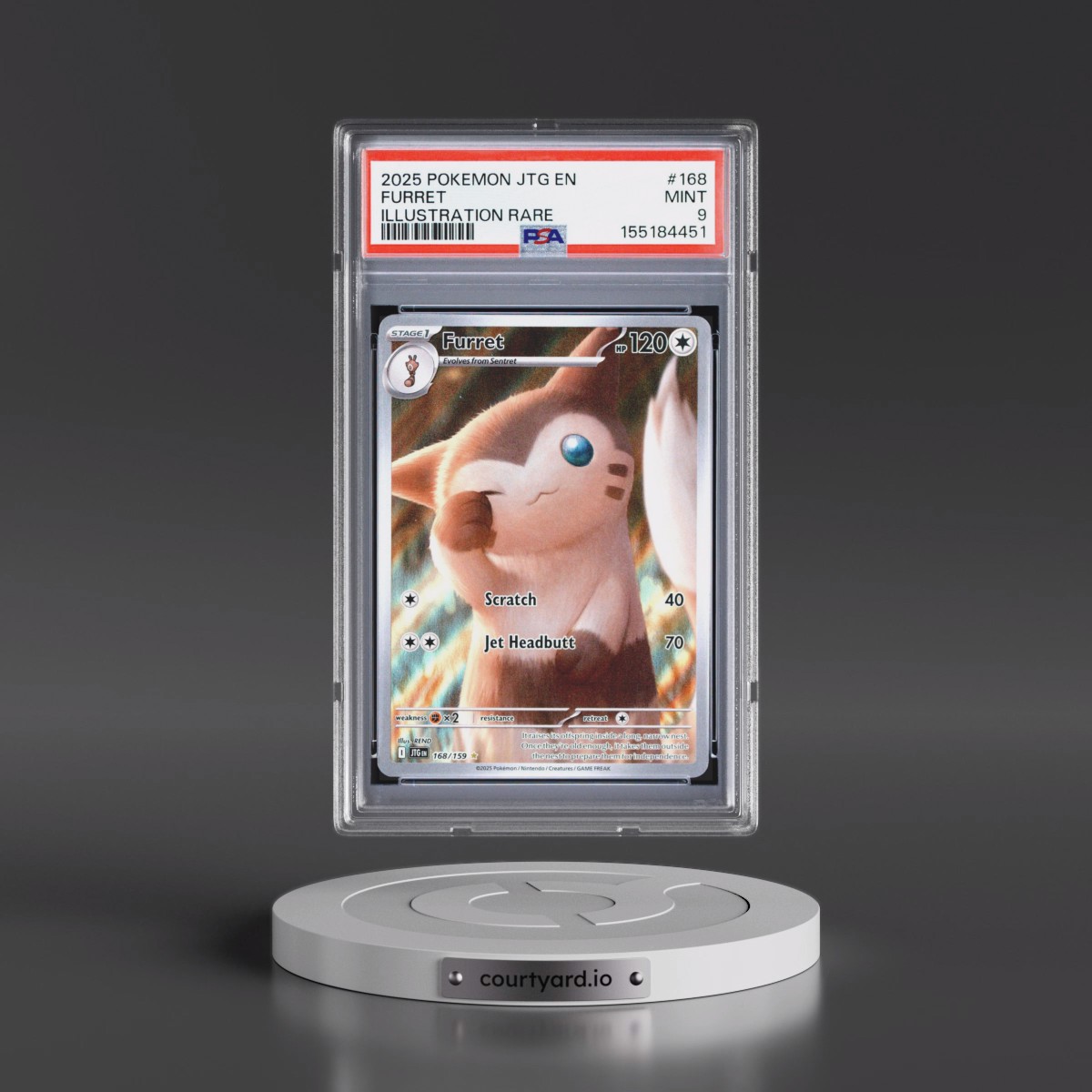 2025 Pokémon Jtg EN-Journey Together #168 Furret - Illustration Rare (PSA 9 MINT)