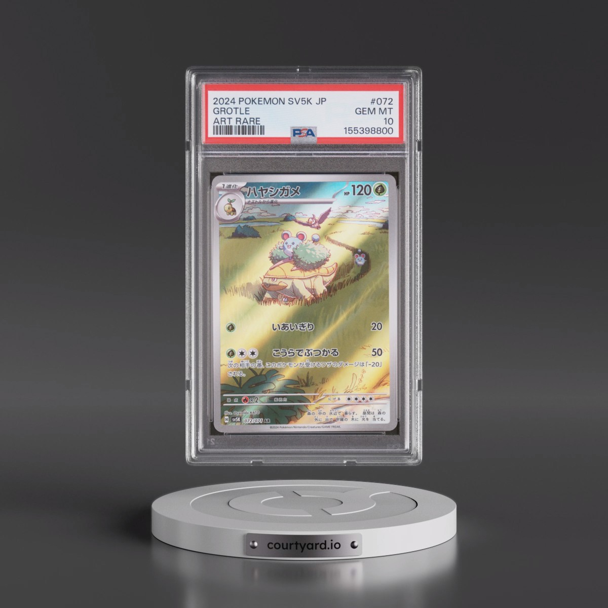2024 Pokémon Sv5k-Wild Force #072 Grotle - Art Rare (PSA 10 GEM MINT)