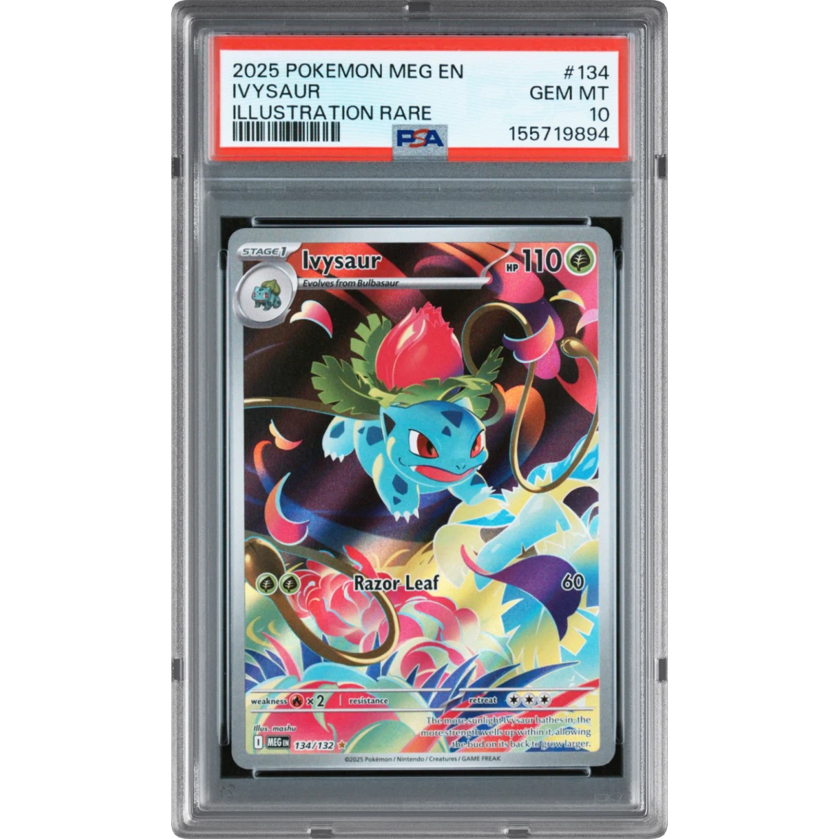 2025 Pokémon Meg EN-Mega Evolution #134 Ivysaur - Illustration Rare (PSA 10 GEM MINT)