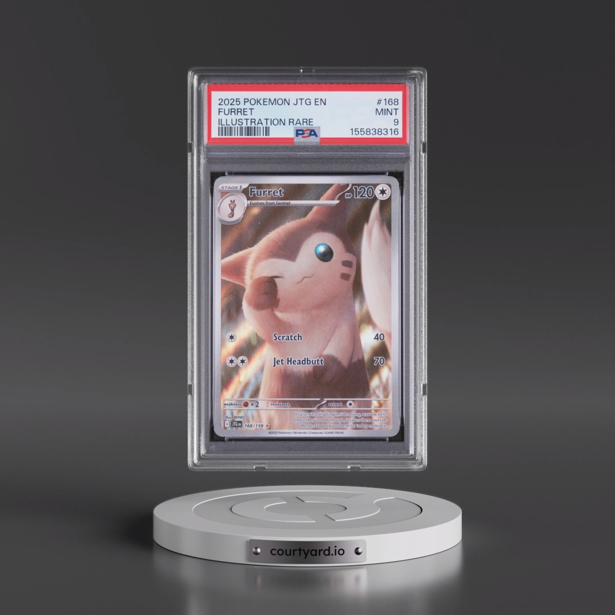 2025 Pokémon Jtg EN-Journey Together #168 Furret - Illustration Rare (PSA 9 MINT)