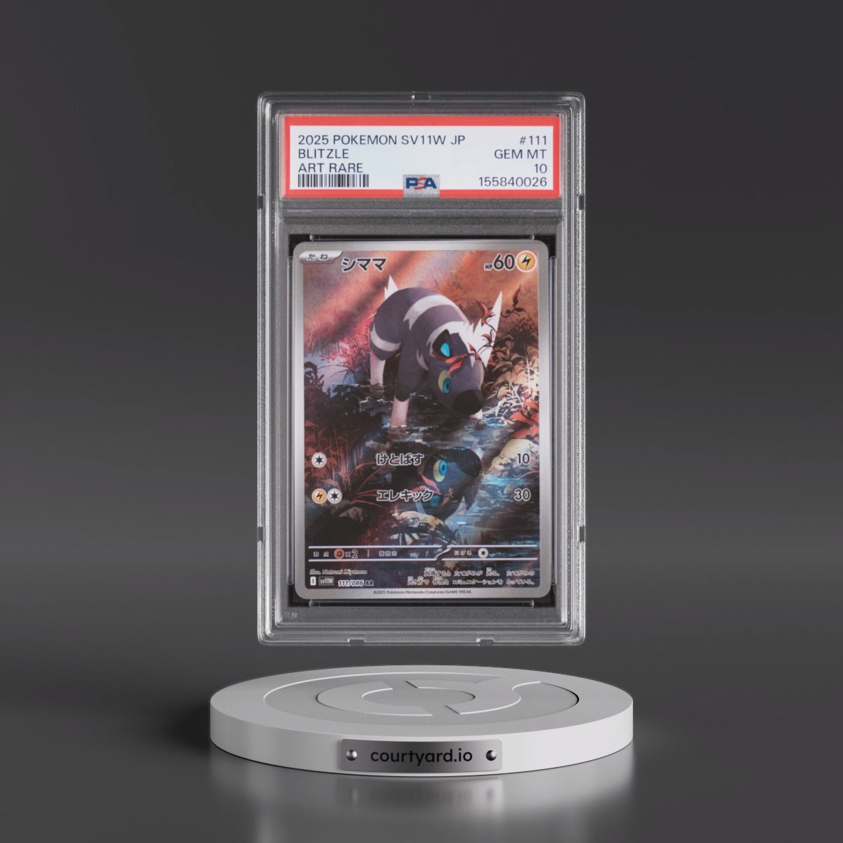 2025 Pokémon Sv11w-White Flare #111 Blitzle - Art Rare (PSA 10 GEM MINT)
