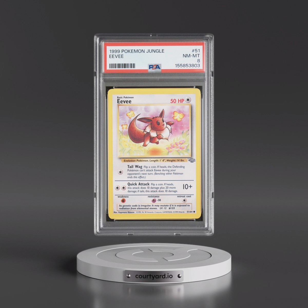 1999 Pokémon Jungle #51 Eevee (PSA 8 NM-MT)