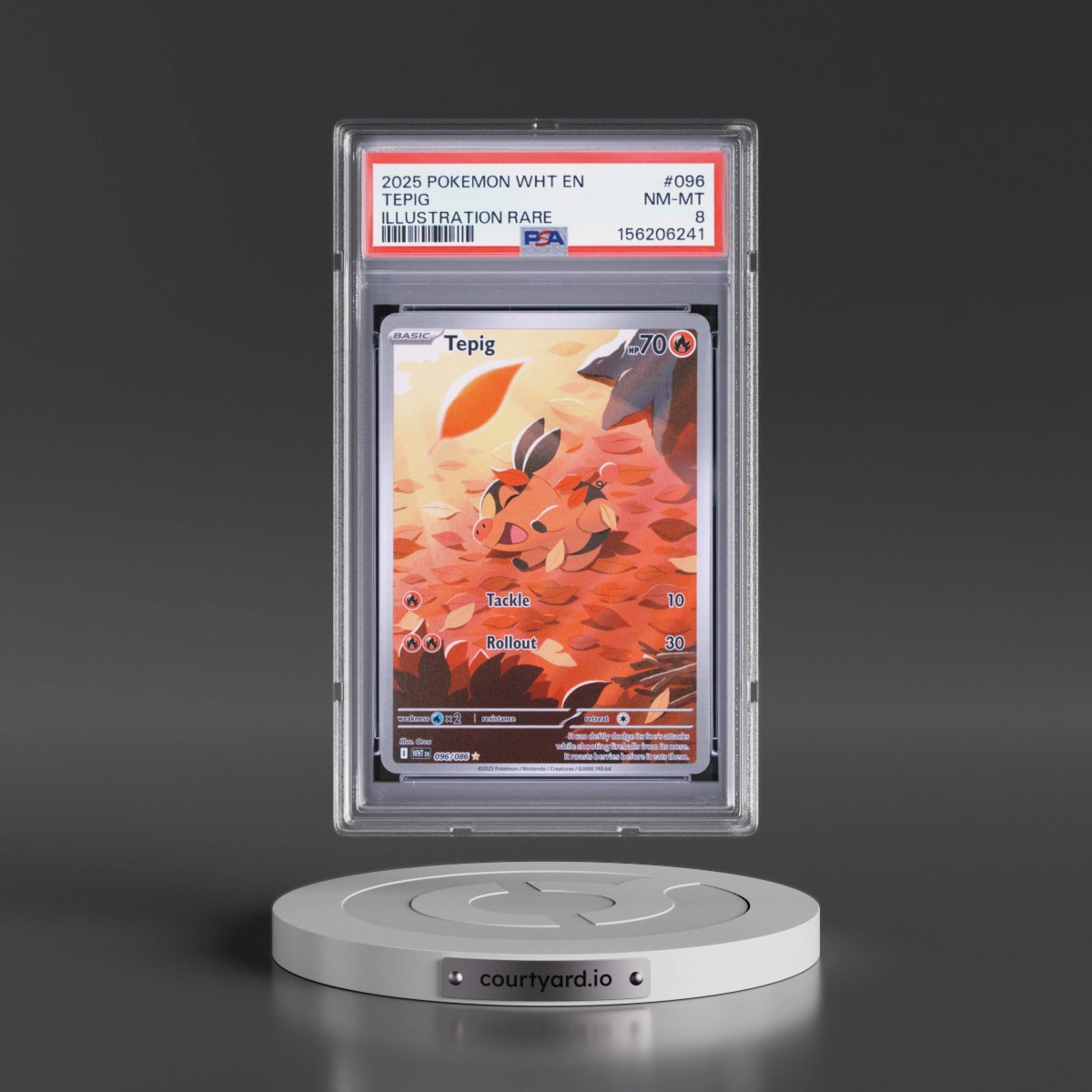 2025 Pokémon Wht EN-White Flare #096 Tepig - Illustration Rare (PSA 8 NM-MT)
