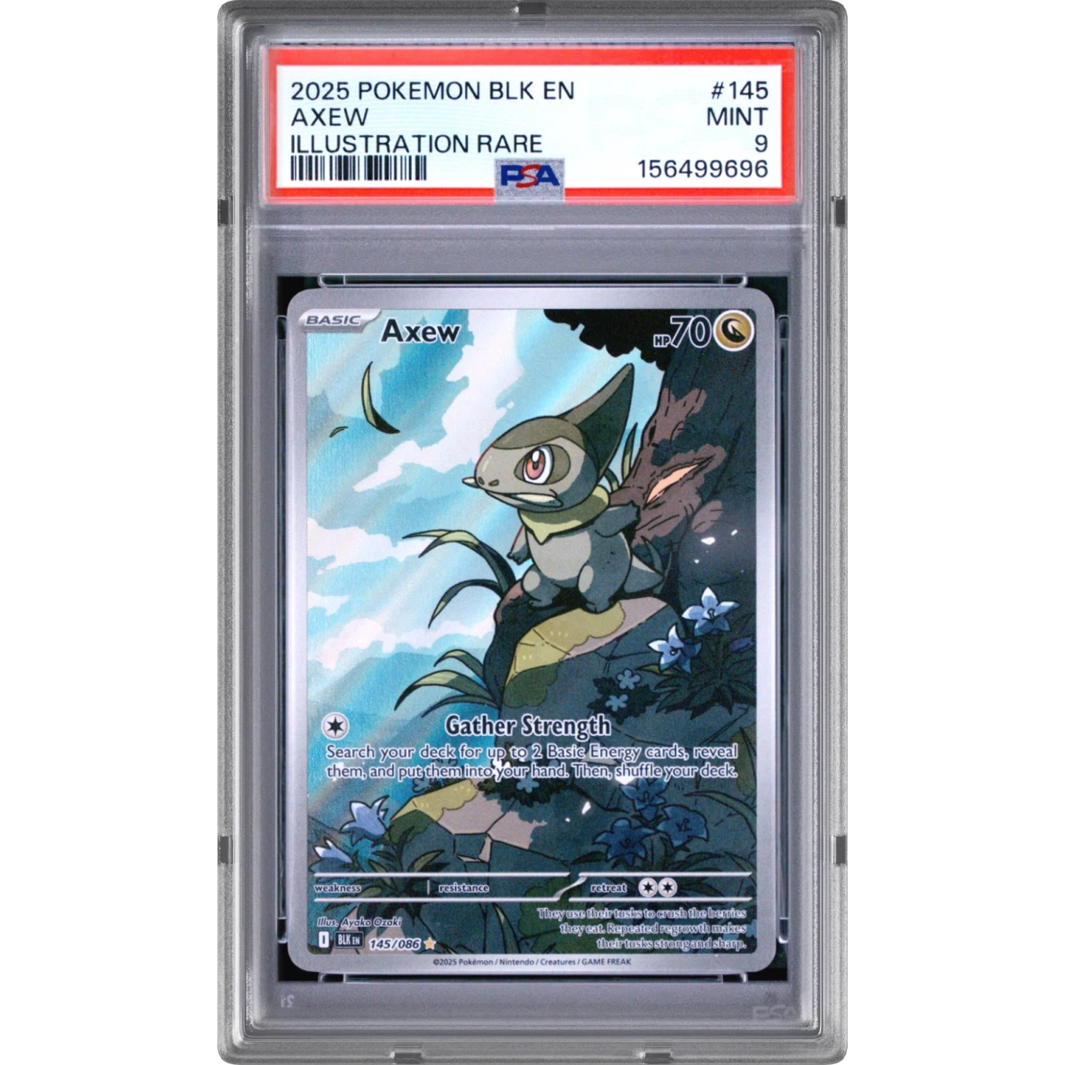 Pokémon Blk Black Bolt Axew