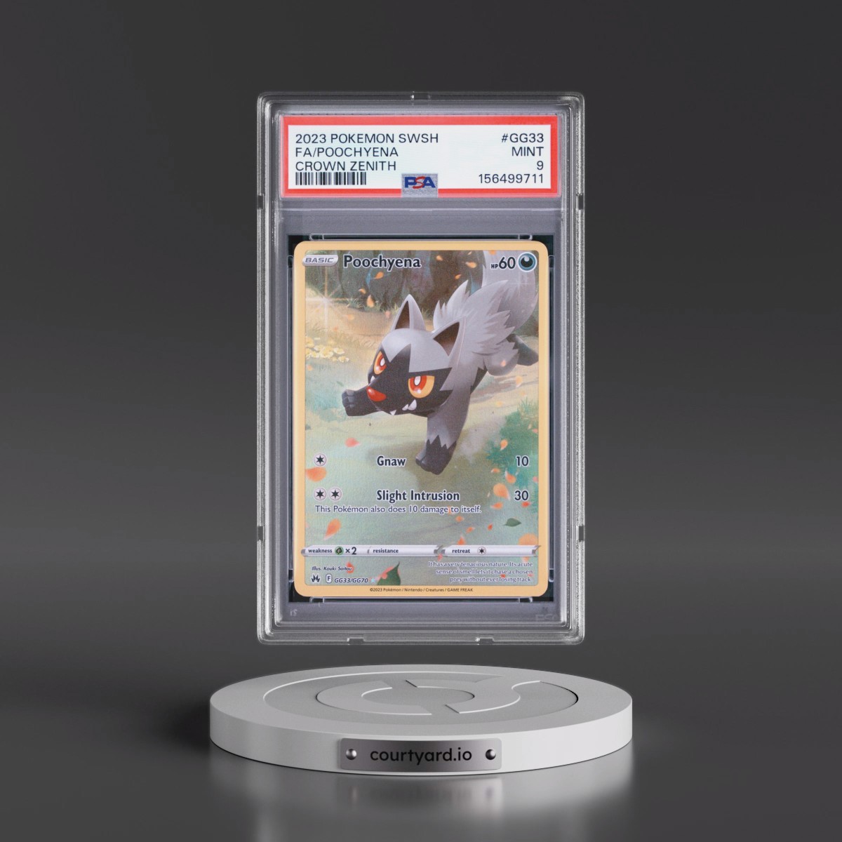 2023 Pokémon Sword and Shield Crown Zenith #GG33 Poochyena - Full Art (PSA 9 MINT)