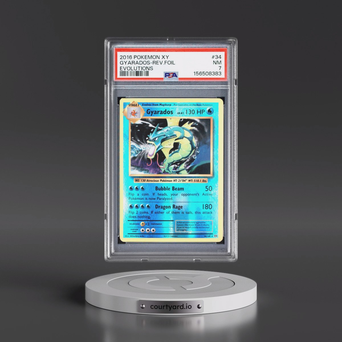 2016 Pokémon XY Evolutions #34 Gyarados - Reverse Foil (PSA 7 NM)