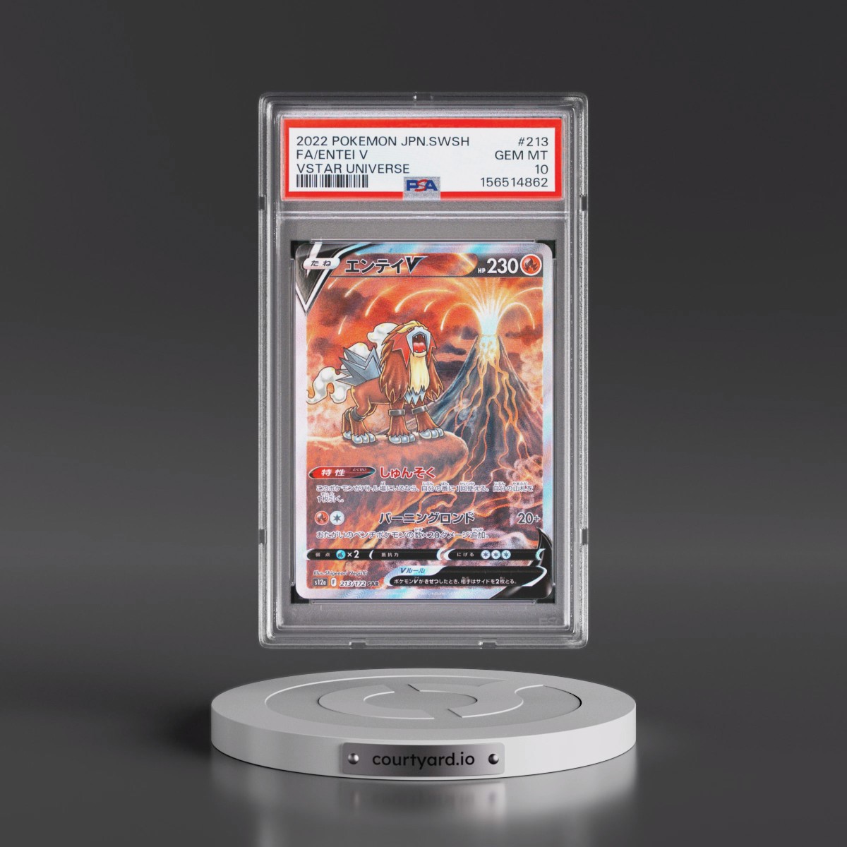 2022 Pokémon Sword & Shield Vstar Universe #213 Entei V - Holo Full Art (PSA 10 GEM MINT)