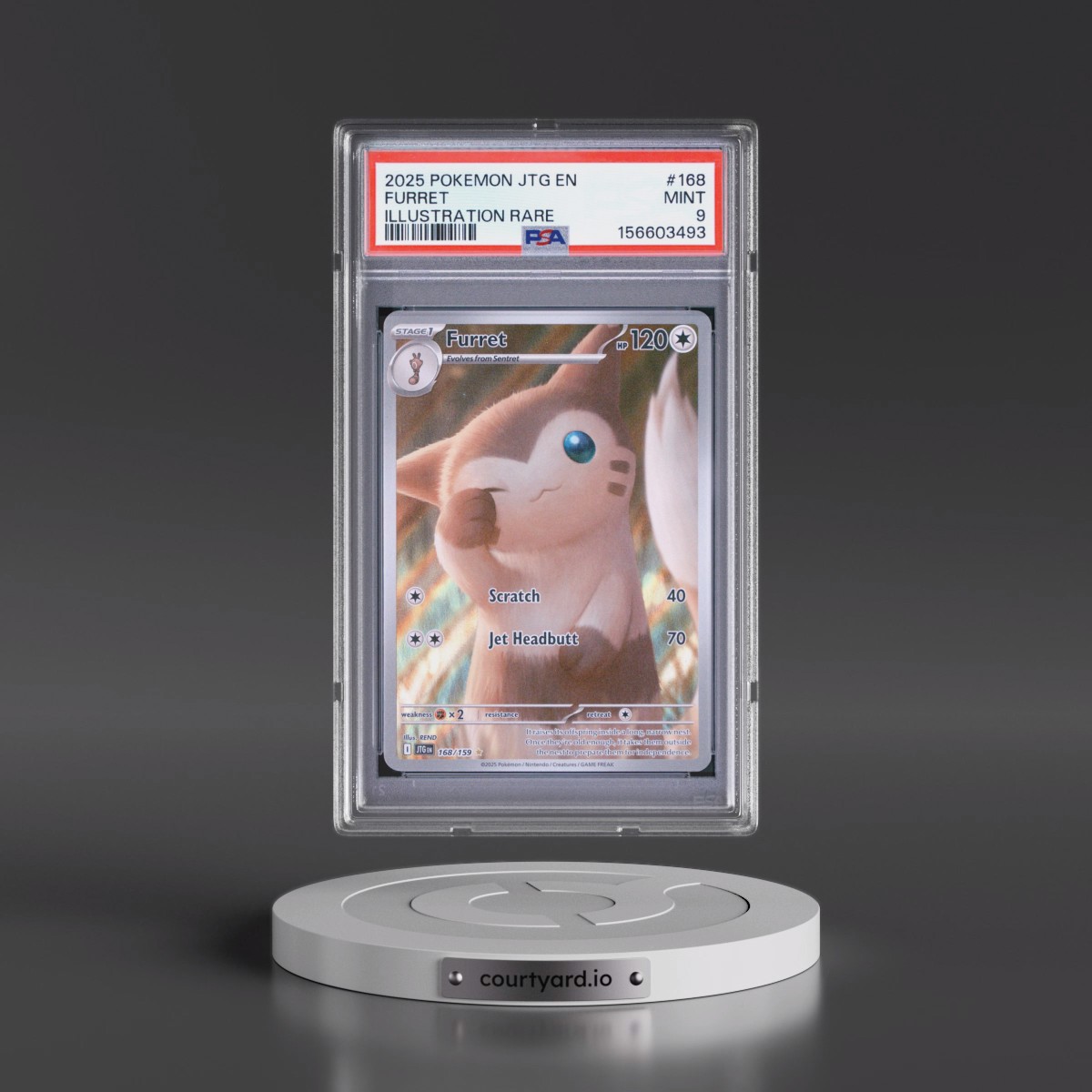 2025 Pokémon Jtg EN-Journey Together #168 Furret - Illustration Rare (PSA 9 MINT)