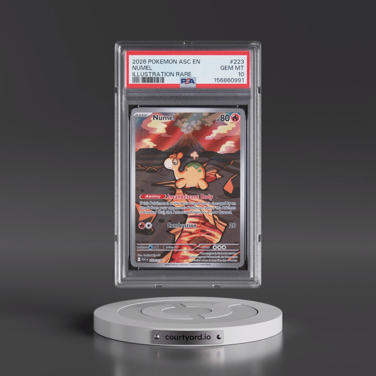 2026 Pokémon Asc EN-Ascended Heroes #223 Numel - Illustration Rare (PSA 10 GEM MINT)
