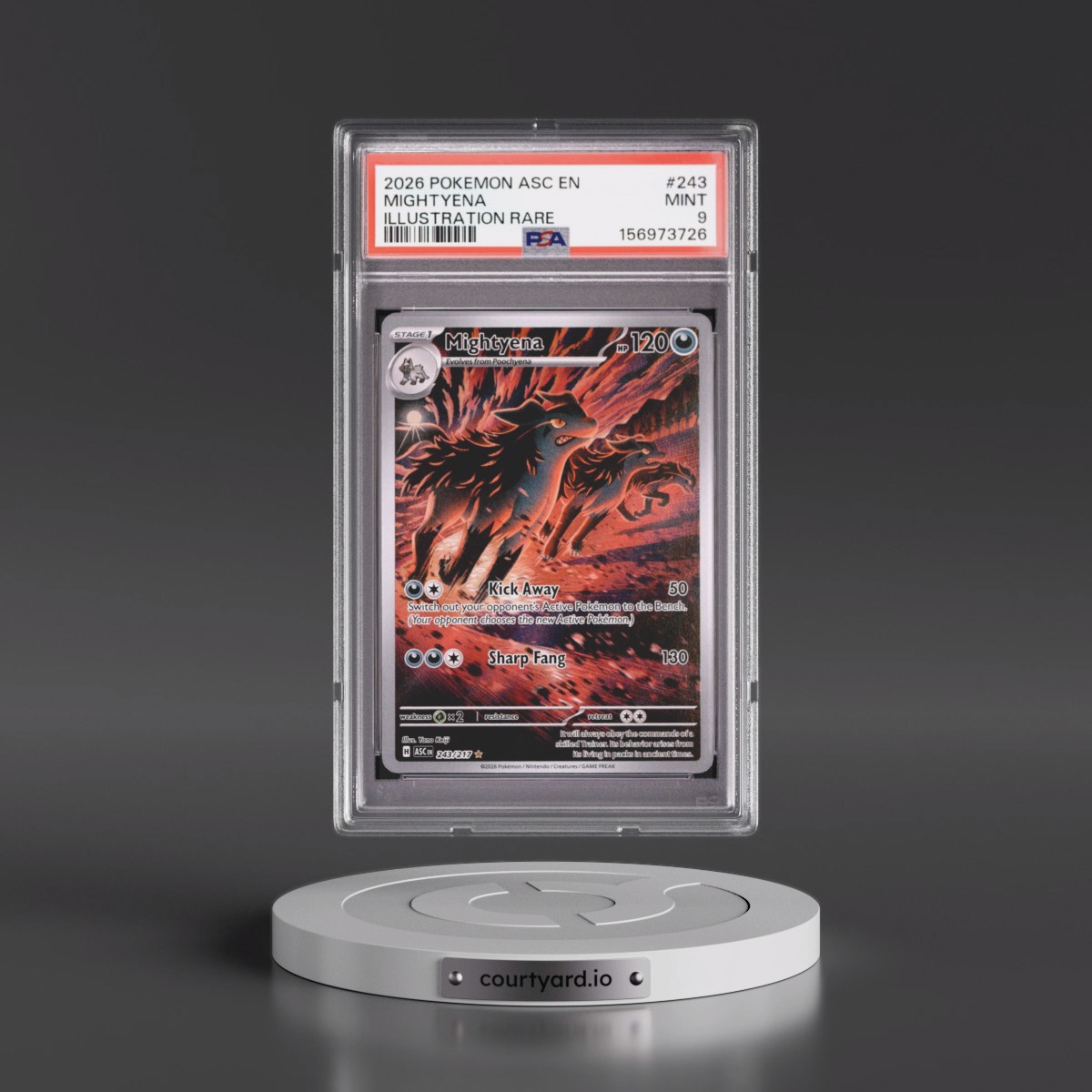 2026 Pokémon Asc EN-Ascended Heroes #243 Mightyena - Illustration Rare (PSA 9 MINT)