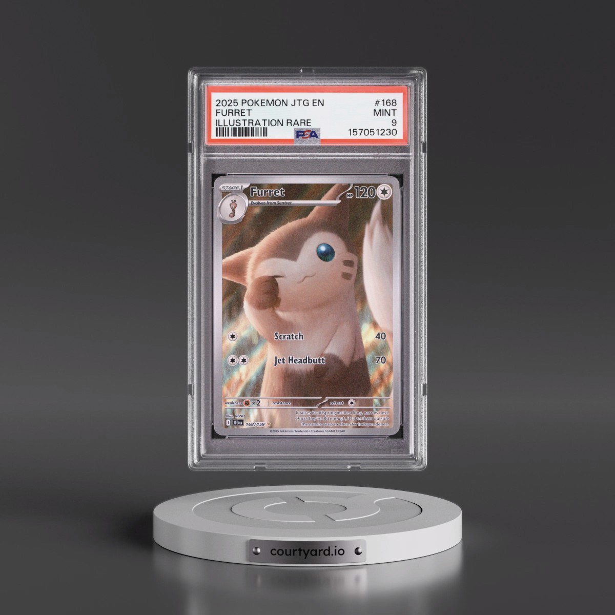 2025 Pokémon Jtg EN-Journey Together #168 Furret - Illustration Rare (PSA 9 MINT)