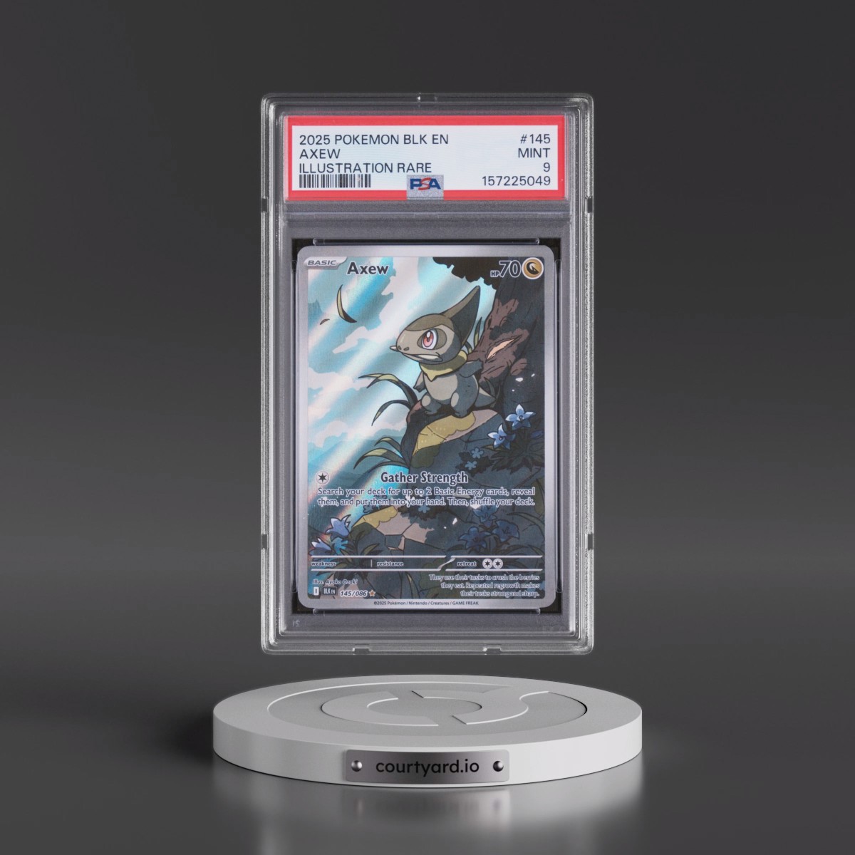 2025 Pokémon Blk EN-Black Bolt #145 Axew - Illustration Rare (PSA 9 MINT)