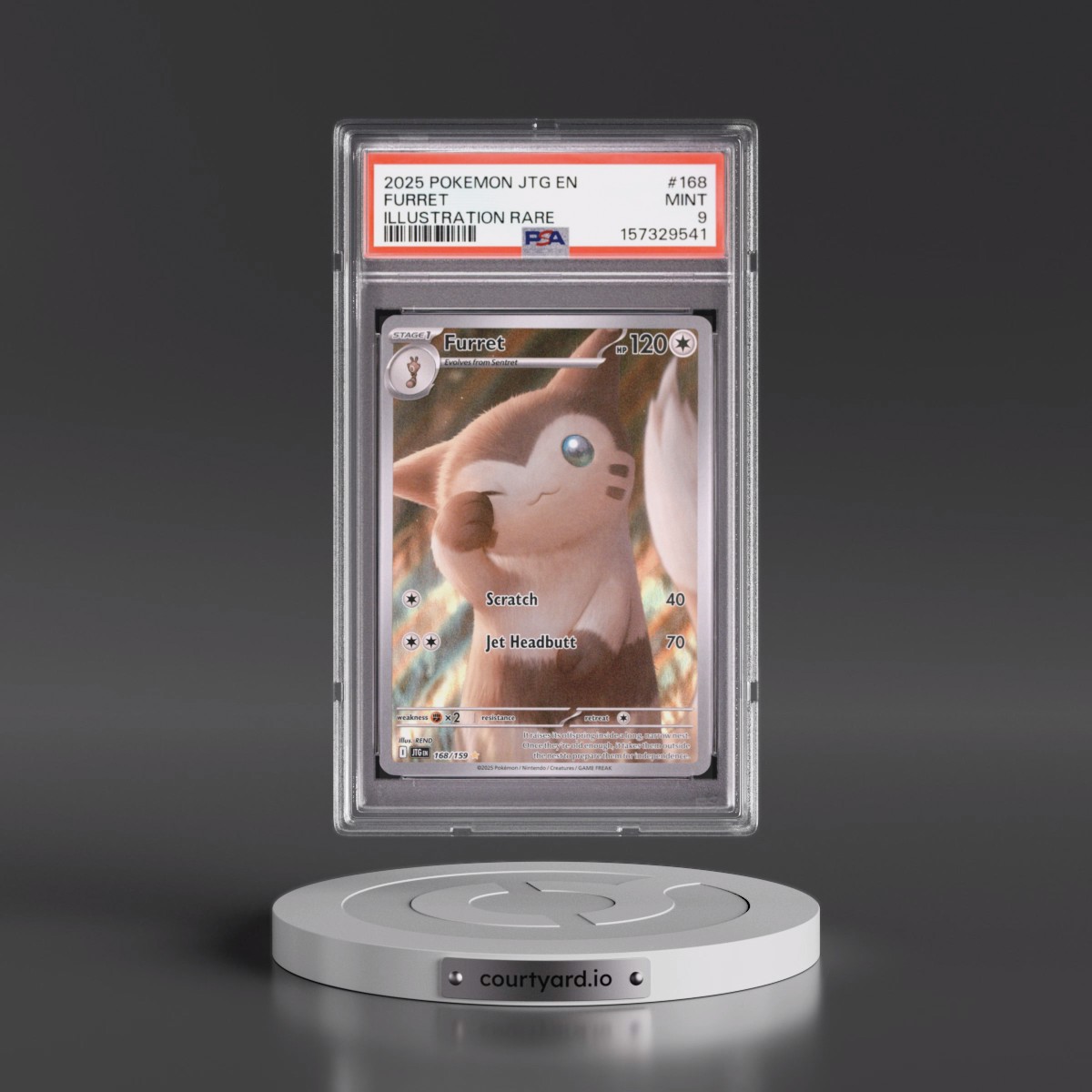 2025 Pokémon Jtg EN-Journey Together #168 Furret - Illustration Rare (PSA 9 MINT)