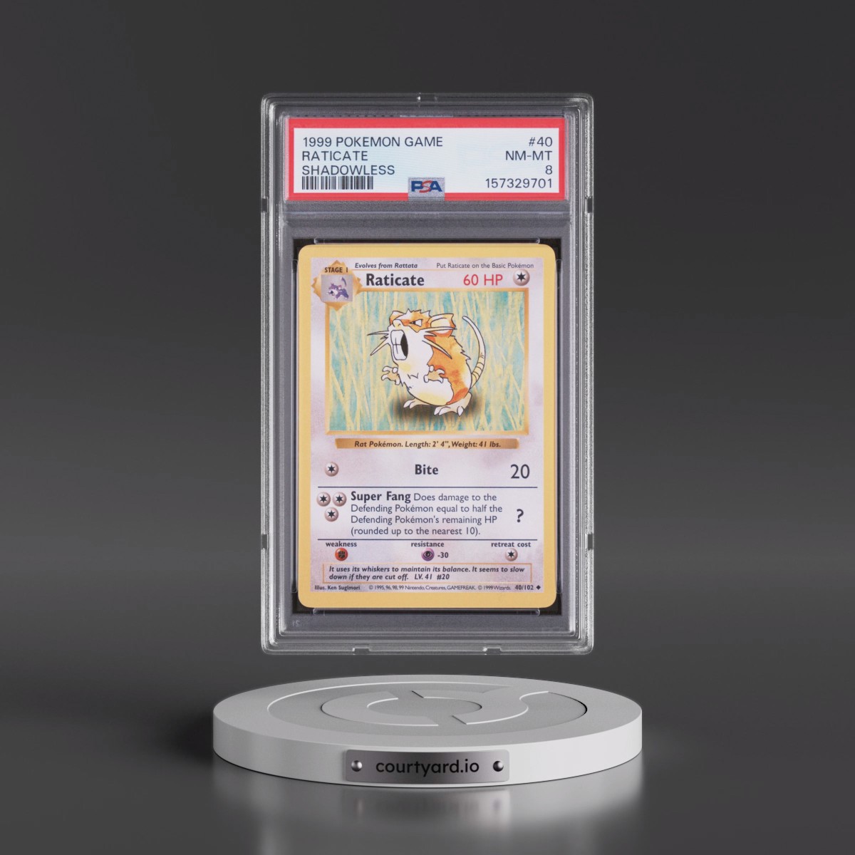 1999 Pokémon Game #40 Raticate - Shadowless (PSA 8 NM-MT)