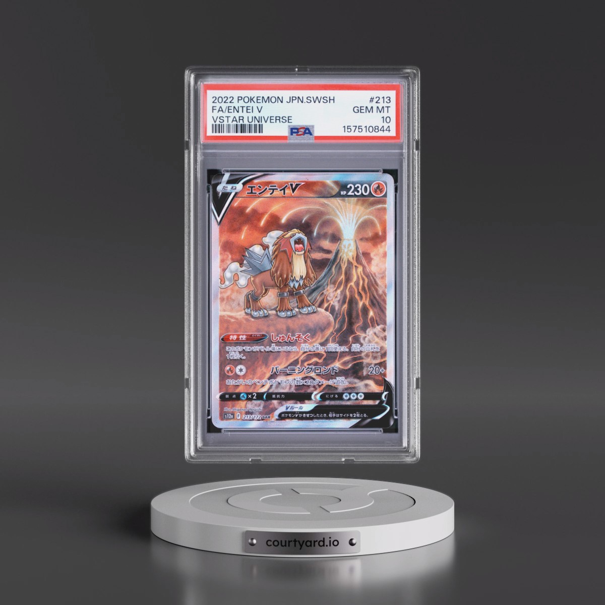 2022 Pokémon Sword & Shield Vstar Universe #213 Entei V - Holo Full Art (PSA 10 GEM MINT)