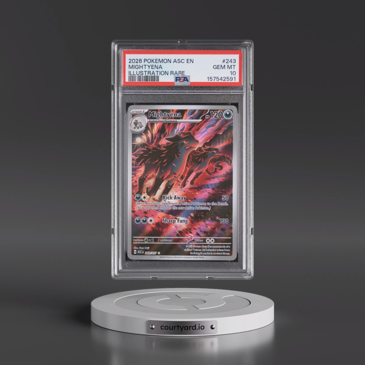2026 Pokémon Asc EN-Ascended Heroes #243 Mightyena - Illustration Rare (PSA 10 GEM MINT)
