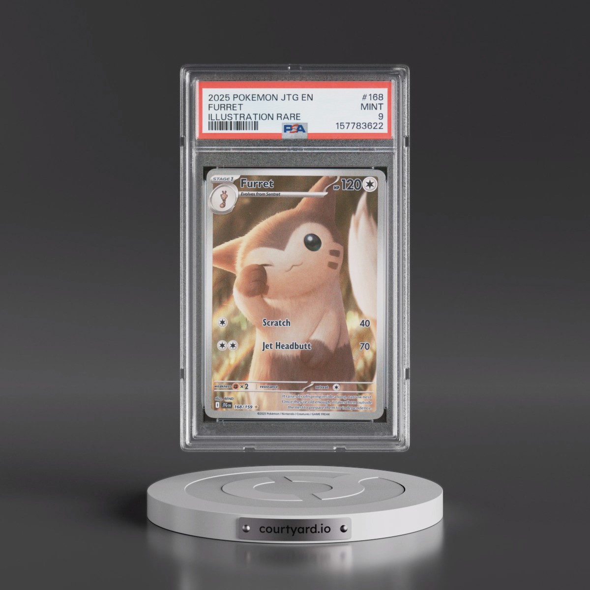 2025 Pokémon Jtg EN-Journey Together #168 Furret - Illustration Rare (PSA 9 MINT)