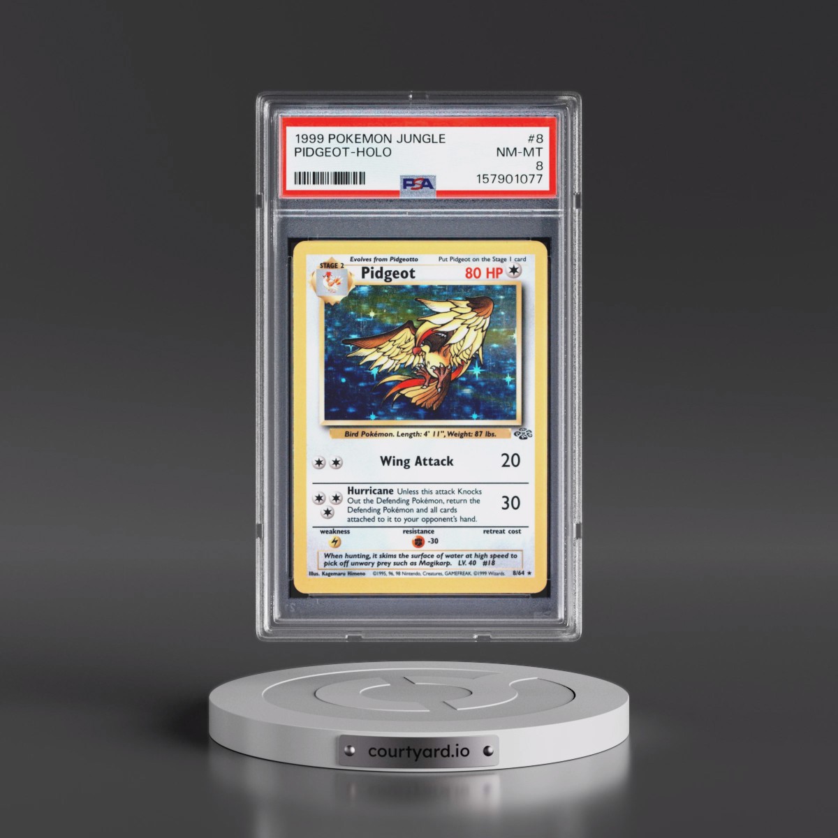 1999 Pokémon Jungle #8 Pidgeot - Holo (PSA 8 NM-MT)