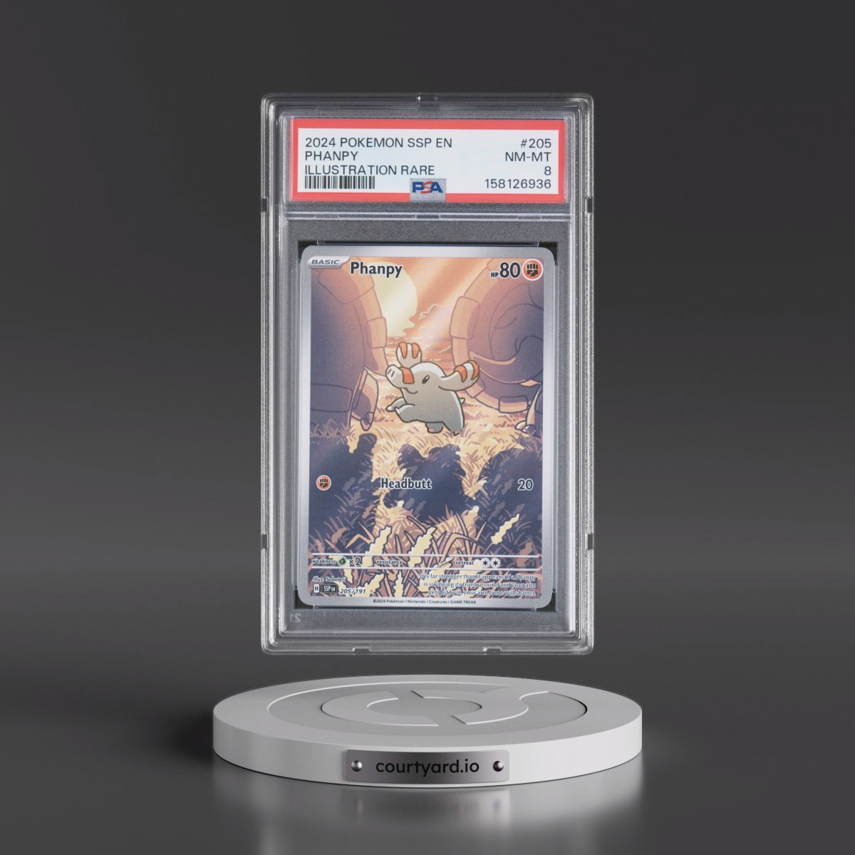2024 Pokémon Ssp EN-Surging Sparks #205 Phanpy - Illustration Rare (PSA 8 NM-MT)