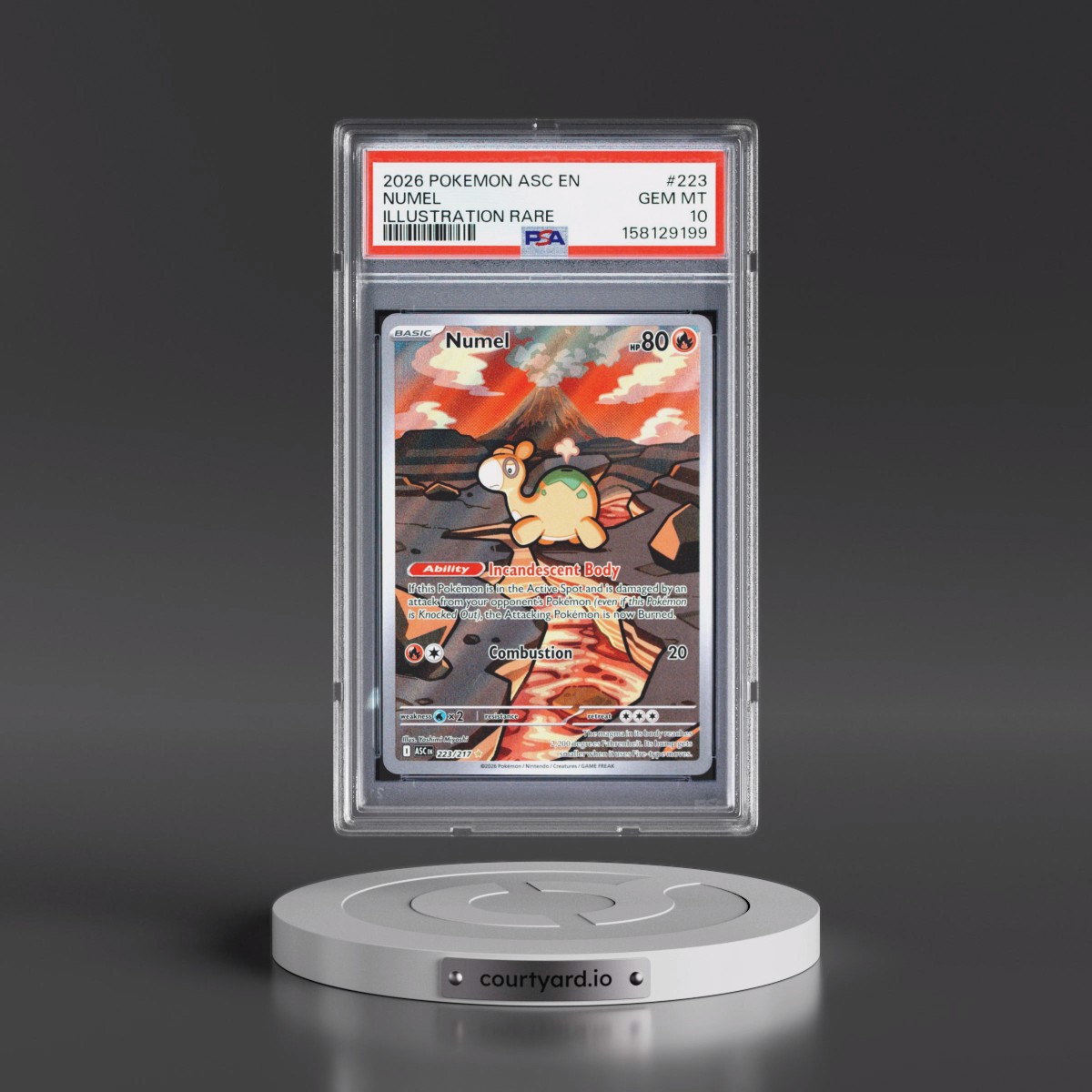 2026 Pokémon Asc EN-Ascended Heroes #223 Numel - Illustration Rare (PSA 10 GEM MINT)