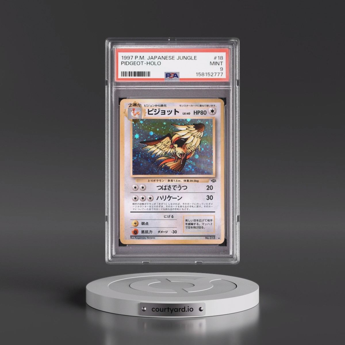 1997 Pokémon Jungle #18 Pidgeot - Holo (PSA 9 MINT)