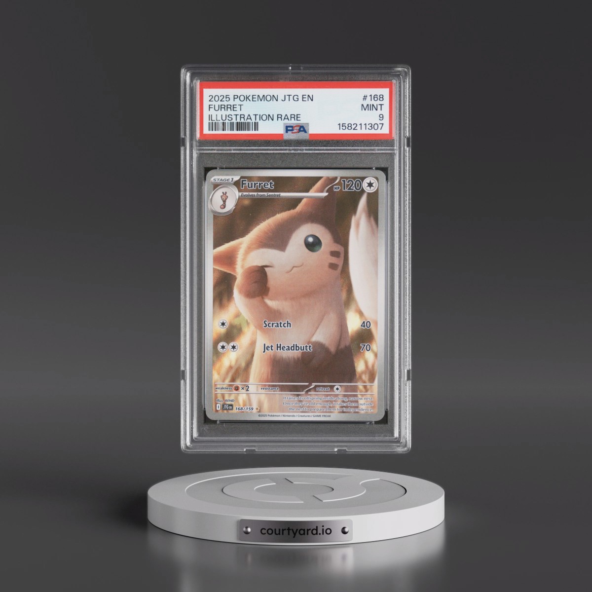 2025 Pokémon Jtg EN-Journey Together #168 Furret - Illustration Rare (PSA 9 MINT)