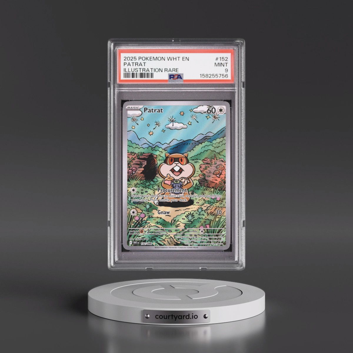 2025 Pokémon Wht EN-White Flare #152 Patrat - Illustration Rare (PSA 9 MINT)