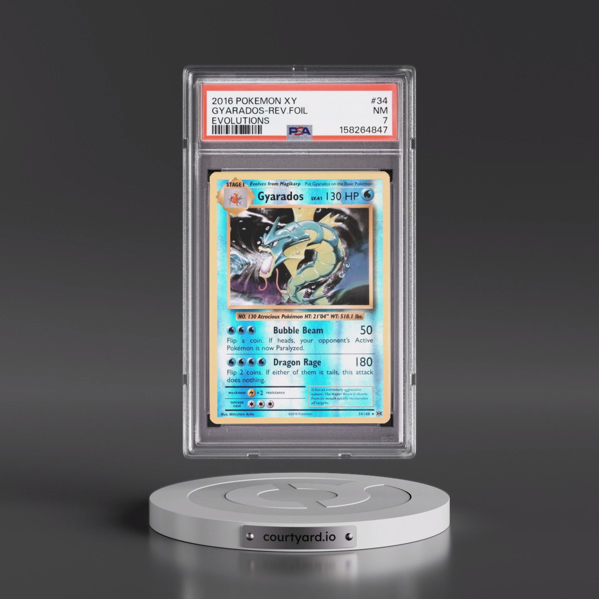 2016 Pokémon XY Evolutions #34 Gyarados - Reverse Foil (PSA 7 NM)