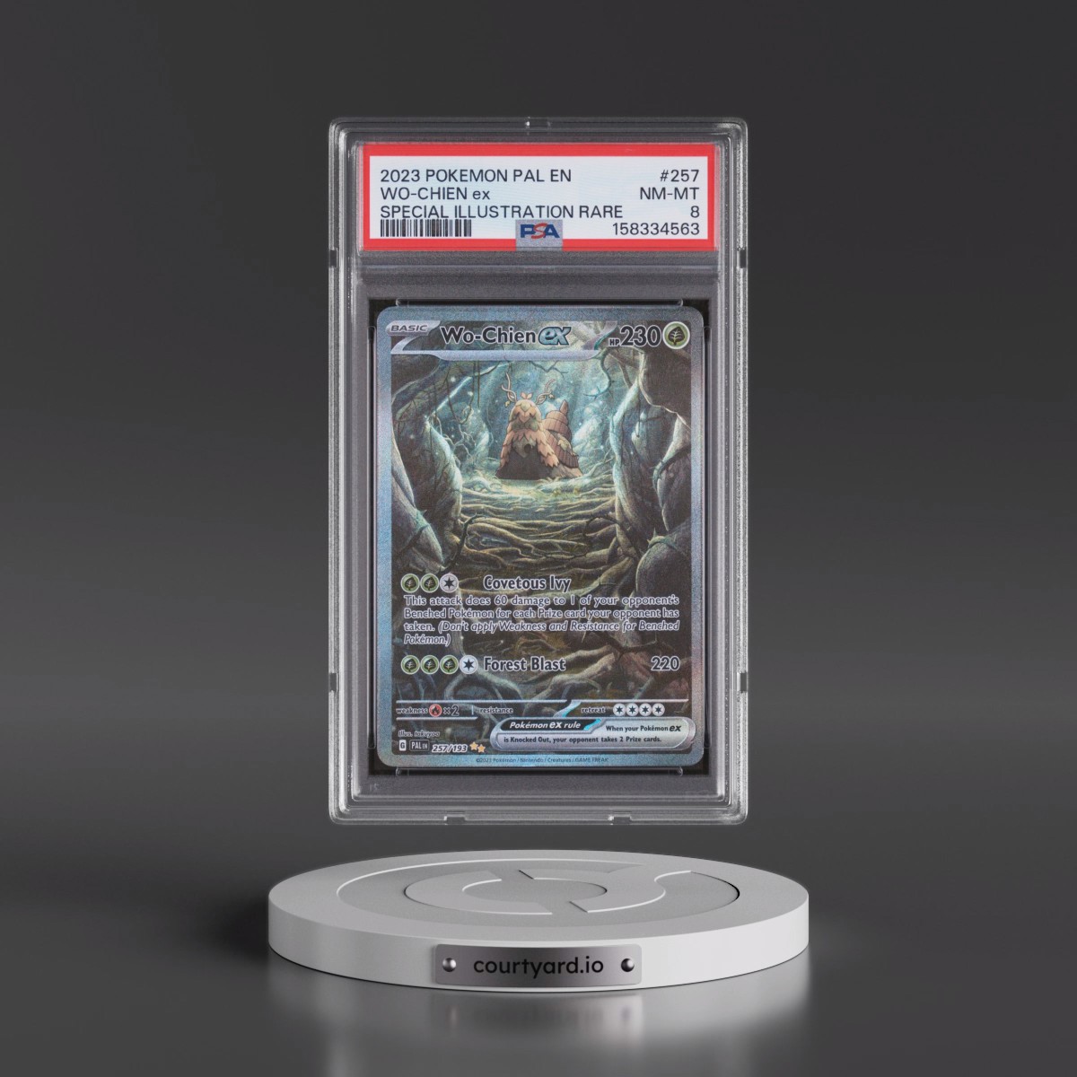 2023 Pokémon Pal EN-Paldea Evolved #257 WO-Chien EX - Holo Special Illustration Rare (PSA 8 NM-MT)