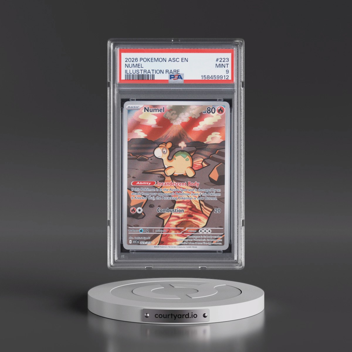 2026 Pokémon Asc EN-Ascended Heroes #223 Numel - Illustration Rare (PSA 9 MINT)