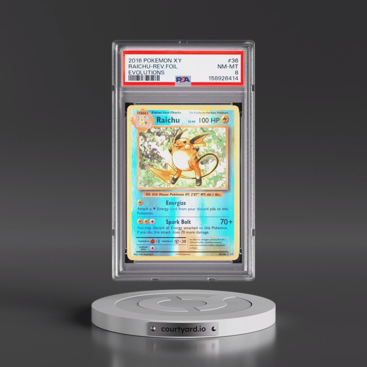 2016 Pokémon XY Evolutions #36 Raichu - Reverse Foil (PSA 8 NM-MT)