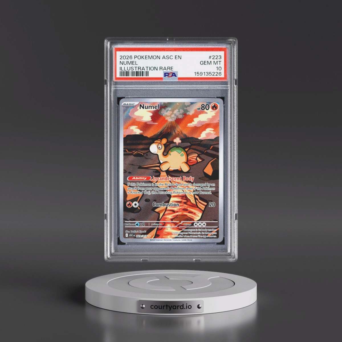 2026 Pokémon Asc EN-Ascended Heroes #223 Numel - Illustration Rare (PSA 10 GEM MINT)