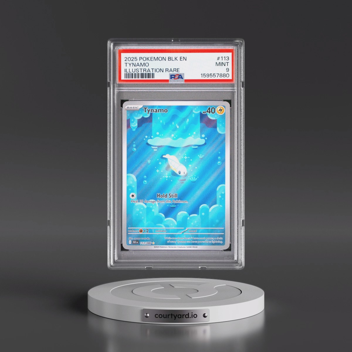 2025 Pokémon Blk EN-Black Bolt #113 Tynamo - Illustration Rare (PSA 9 MINT)