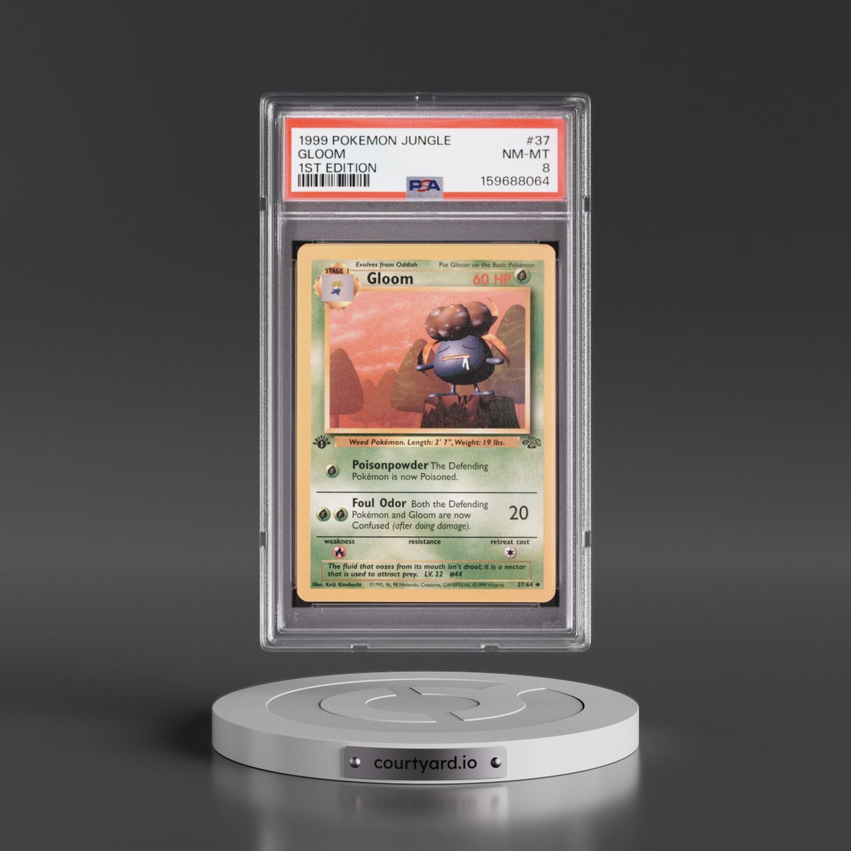 1999 Pokémon Jungle #37 Gloom - 1st Edition (PSA 8 NM-MT)