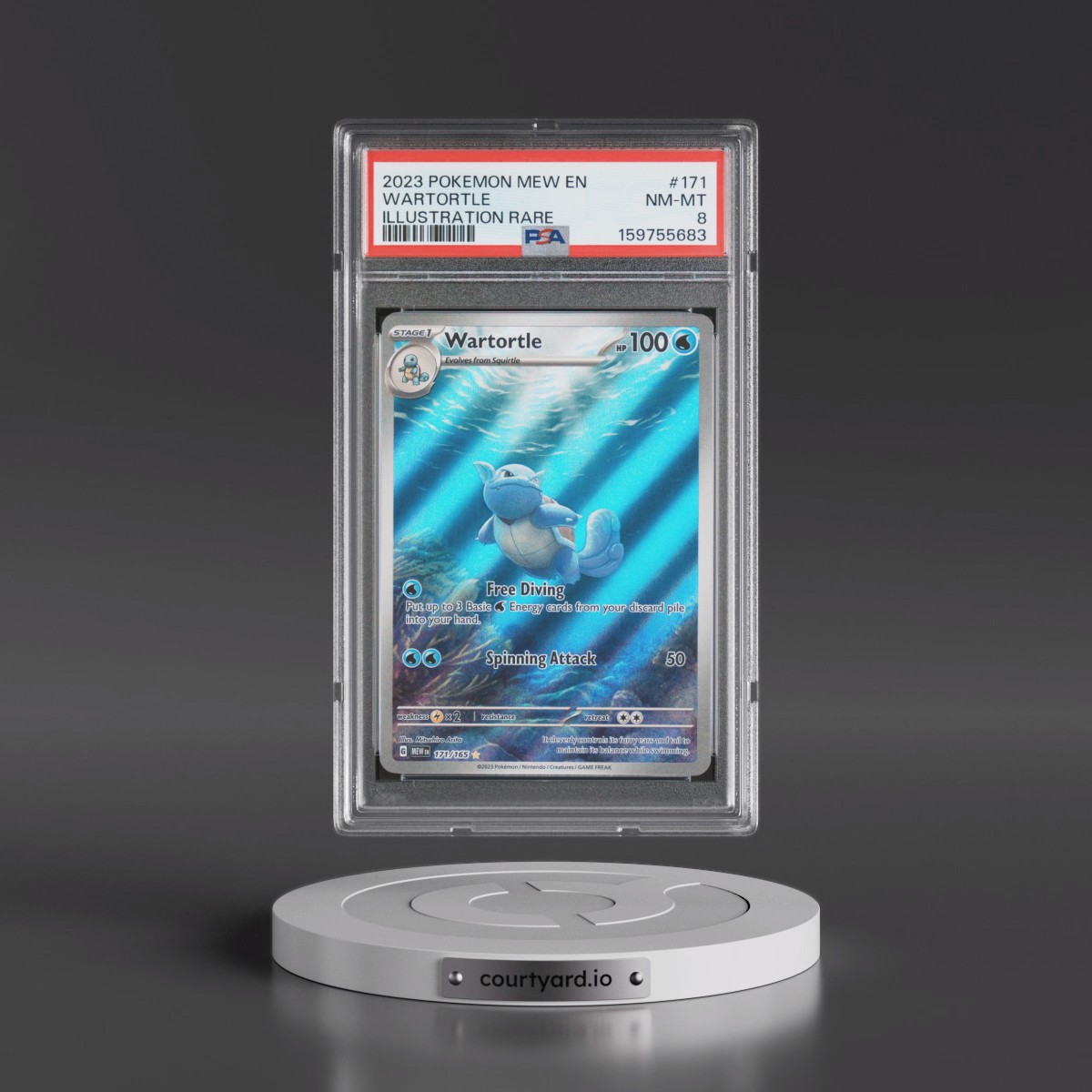 2023 Pokémon Mew EN-151 #171 Wartortle - Illustration Rare (PSA 8 NM-MT)