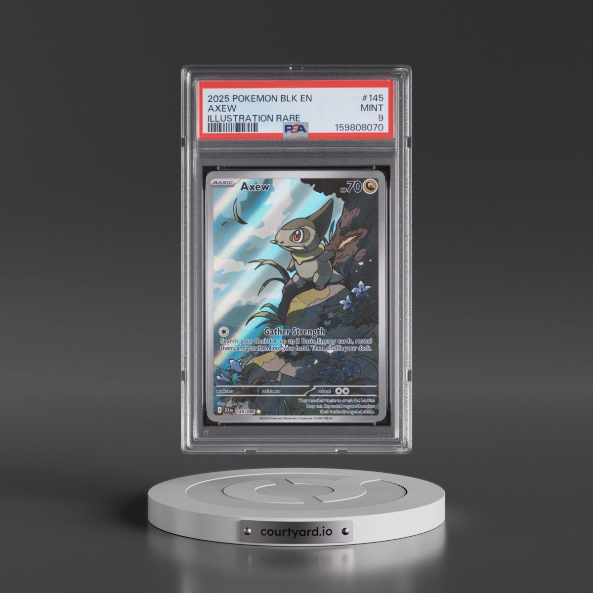2025 Pokémon Blk EN-Black Bolt #145 Axew - Illustration Rare (PSA 9 MINT)