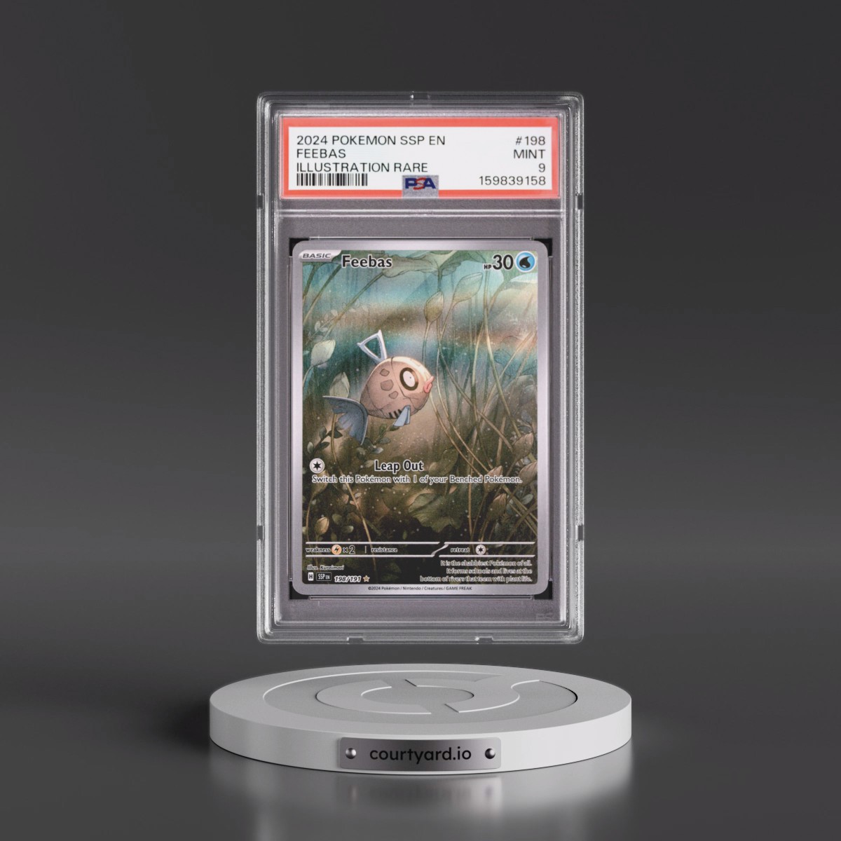 2024 Pokémon Ssp EN-Surging Sparks #198 Feebas - Illustration Rare (PSA 9 MINT)
